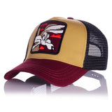 Daffy Duck Cap